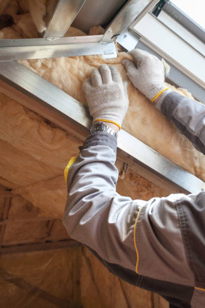 Best Geographic-Specific Insulation Services in Willowick, OH